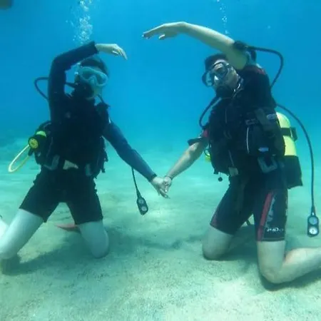 Neptune Dive Club